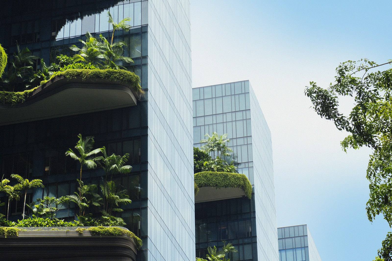 eco-urban_architecture_high.jpg [36.38 MB]